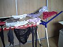 0042, foto 2048x1536, 2 reacties, 8 stemmen
