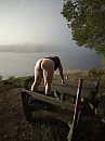 101, foto 3000x4000, 10 reacties, 62 stemmen