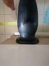 11cm breed, foto 3002x4000, 5 reacties, 12 stemmen