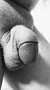 121, foto 2253x4000, 1 reacties, 16 stemmen
