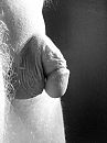133, foto 720x960, 6 reacties, 17 stemmen
