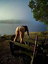 137, foto 2962x3950, 7 reacties, 55 stemmen