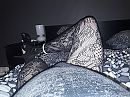 1, foto 3264x2448, 3 reacties, 13 stemmen
