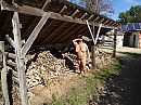 2023, foto 2560x1920, 37 reacties, 156 stemmen