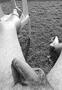 ..., foto 616x888, 0 reacties, 3 stemmen