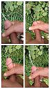 "Loat moar es 'n keerke zien", foto 2160x3840, 4 reacties, 24 stemmen