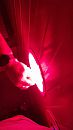 24-07-2024 Bluevision, foto 2250x4000, 3 reacties, 14 stemmen