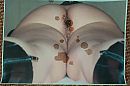 240704 Mikw Foto 4, foto 3023x2015, 0 reacties, 0 stemmen