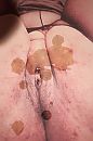 241101 Stel 1975 Foto 4, foto 2250x3375, 2 reacties, 2 stemmen