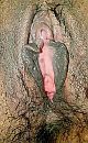 :p, foto 1078x1733, 32 reacties, 68 stemmen