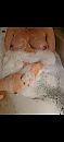 43, foto 1080x2340, 3 reacties, 27 stemmen