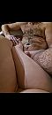 44, foto 1080x2340, 5 reacties, 22 stemmen