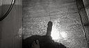 50 shades..., foto 600x324, 2 reacties, 5 stemmen