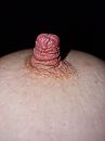 55, foto 3000x4000, 26 reacties, 70 stemmen