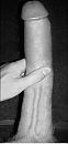 5, foto 497x1024, 4 reacties, 19 stemmen