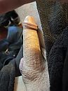 A, foto 3000x4000, 0 reacties, 1 stemmen