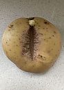 Aardappels schillen..., foto 1000x1389, 1 reacties, 3 stemmen
