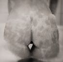 Aesthetic, foto 1196x1195, 32 reacties, 85 stemmen