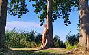 Afgelopen zomer, foto 3900x2448, 11 reacties, 27 stemmen