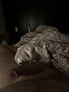 Alleen in bed, foto 3000x4000, 1 reacties, 2 stemmen