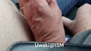 Alvast opgeilen in de auto, film 00:00:00, 8 reacties, 34 stemmen