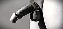 B&W, nog eens geringd., foto 2560x1212, 14 reacties, 15 stemmen