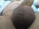 Balzak, foto 3264x2448, 1 reacties, 7 stemmen