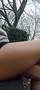 Bankje buiten, foto 1516x3317, 0 reacties, 7 stemmen