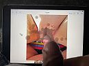 Beloofd, foto 4000x3000, 1 reacties, 1 stemmen