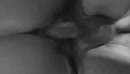 Bewegend, film 00:00:29, 5 reacties, 35 stemmen