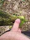 Bij boom, foto 3000x4000, 8 reacties, 18 stemmen