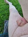 Bij hoornse plas, foto 3000x4000, 4 reacties, 18 stemmen