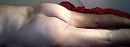 Billen, foto 2048x756, 4 reacties, 6 stemmen