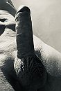 Black and white, foto 2023x2954, 1 reacties, 5 stemmen