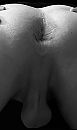 Black star, foto 1125x1884, 2 reacties, 14 stemmen