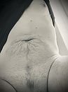 Black&white, foto 2316x3088, 0 reacties, 0 stemmen