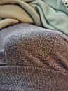 Bobbel in m'n broek, foto 3000x4000, 2 reacties, 7 stemmen
