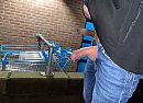 Boodschappen doen, foto 828x602, 2 reacties, 15 stemmen