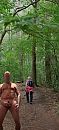 Boswandeling, foto 1179x2556, 14 reacties, 50 stemmen