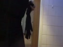 Bouwvakker heeft pap voor Lucy, film 00:00:00, 15 reacties, 47 stemmen