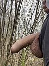 Buiten, foto 2316x3088, 8 reacties, 23 stemmen