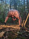 Buiten, foto 2736x3648, 1 reacties, 19 stemmen