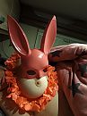 Bunny's, foto 3000x4000, 4 reacties, 27 stemmen