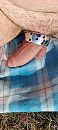 Bussloo, foto 1800x4000, 13 reacties, 20 stemmen