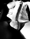 Bw DickPic, foto 1983x2616, 0 reacties, 10 stemmen