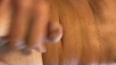 Cammen & komen, film 00:00:18, 9 reacties, 17 stemmen