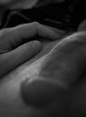 Change of focus..., foto 1637x2202, 1 reacties, 4 stemmen