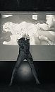 Cine sluis, foto 1864x3086, 2 reacties, 10 stemmen