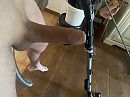 Cleaning with no pants on, foto 4000x3000, 1 reacties, 9 stemmen