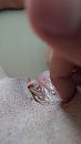 Clit, foto 2160x3840, 30 reacties, 74 stemmen
